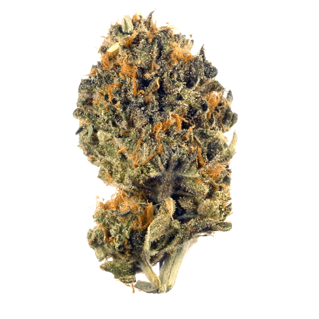 Botanist Purple Peachy Trainwreck
