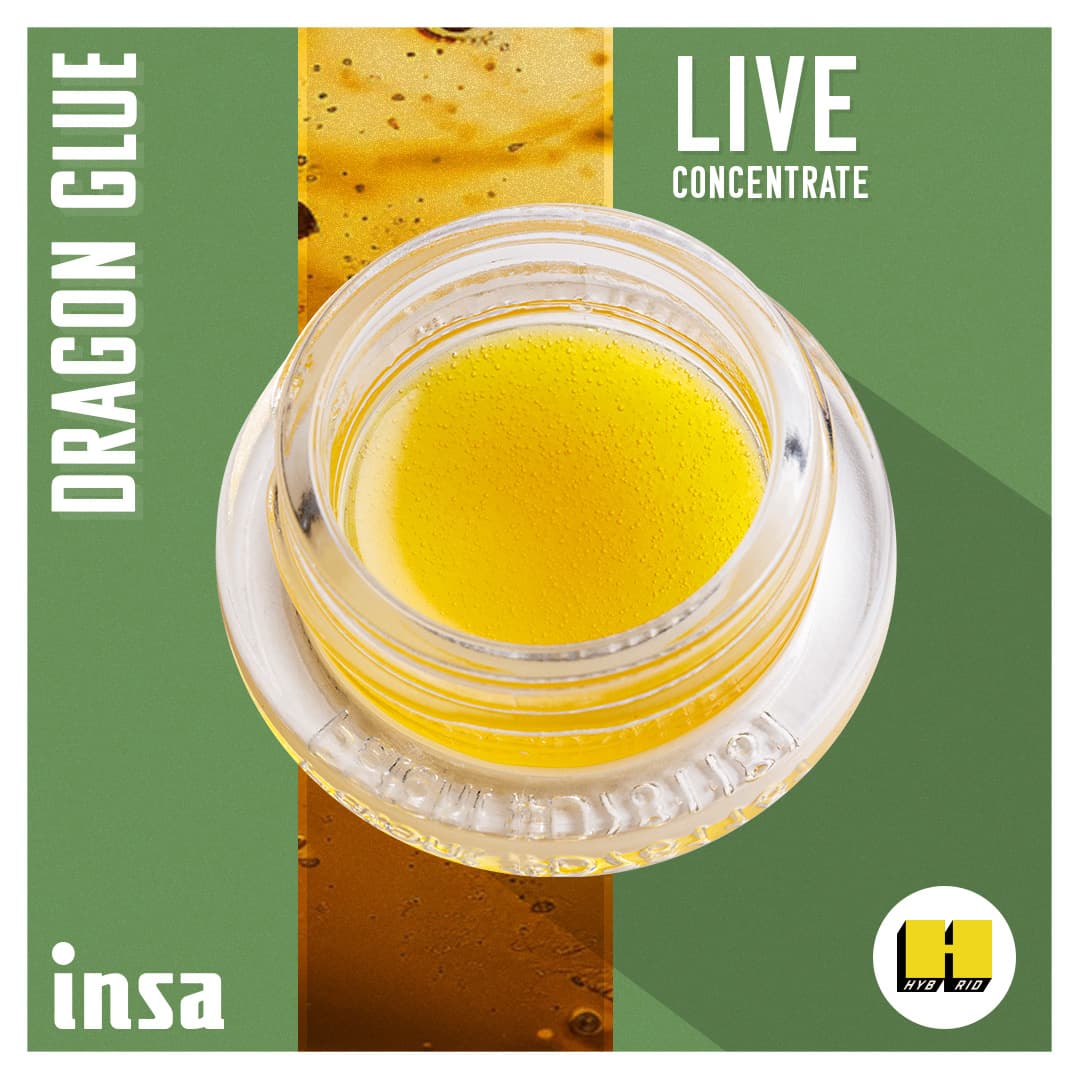 Insa Live Budder Dragon Glue