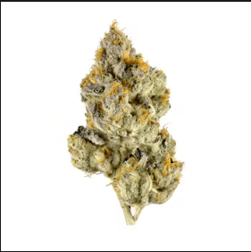 New Leaf Raspberry Parfait | 7G Flower (TAX INCLUDED)