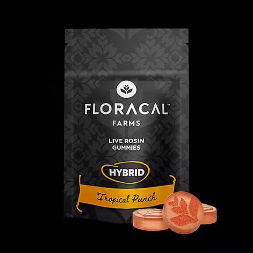 FloraCal Farms Pink Lemonade - 5mg Gummies - 100mg