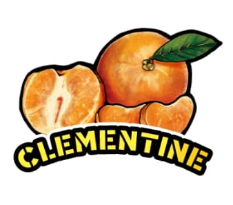 Hellavated Clementine Juicy Stickz | 0.75g
