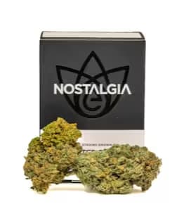 Nostalgia Afghan Skunk