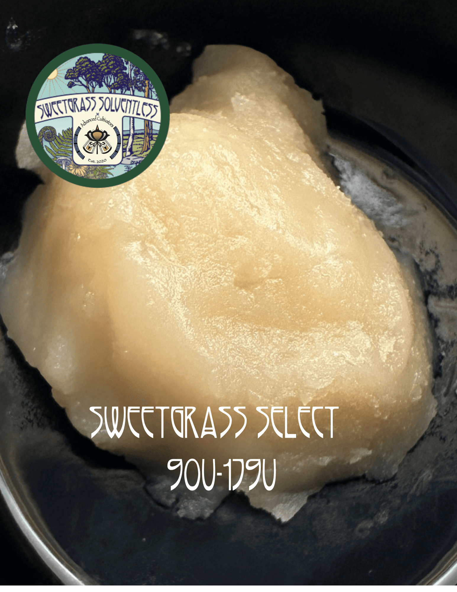 Sweetgrass Honey Banana & Zuava | 1g Live Rosin