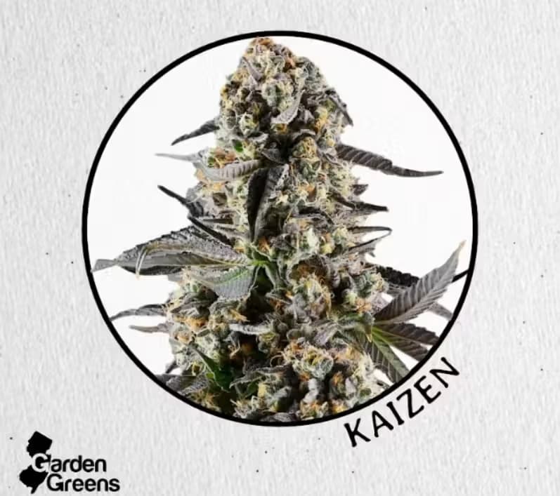 Garden Greens Kaizen