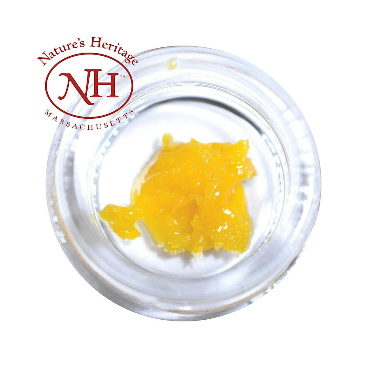 Nature's Heritage Mimosa | Live Sugar | 1g