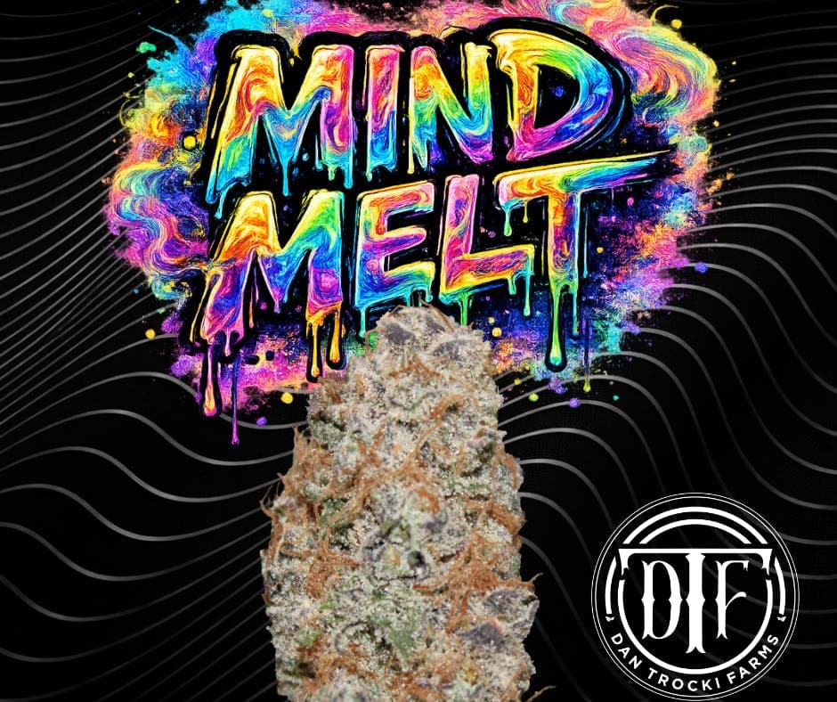 DTF Mind Melt