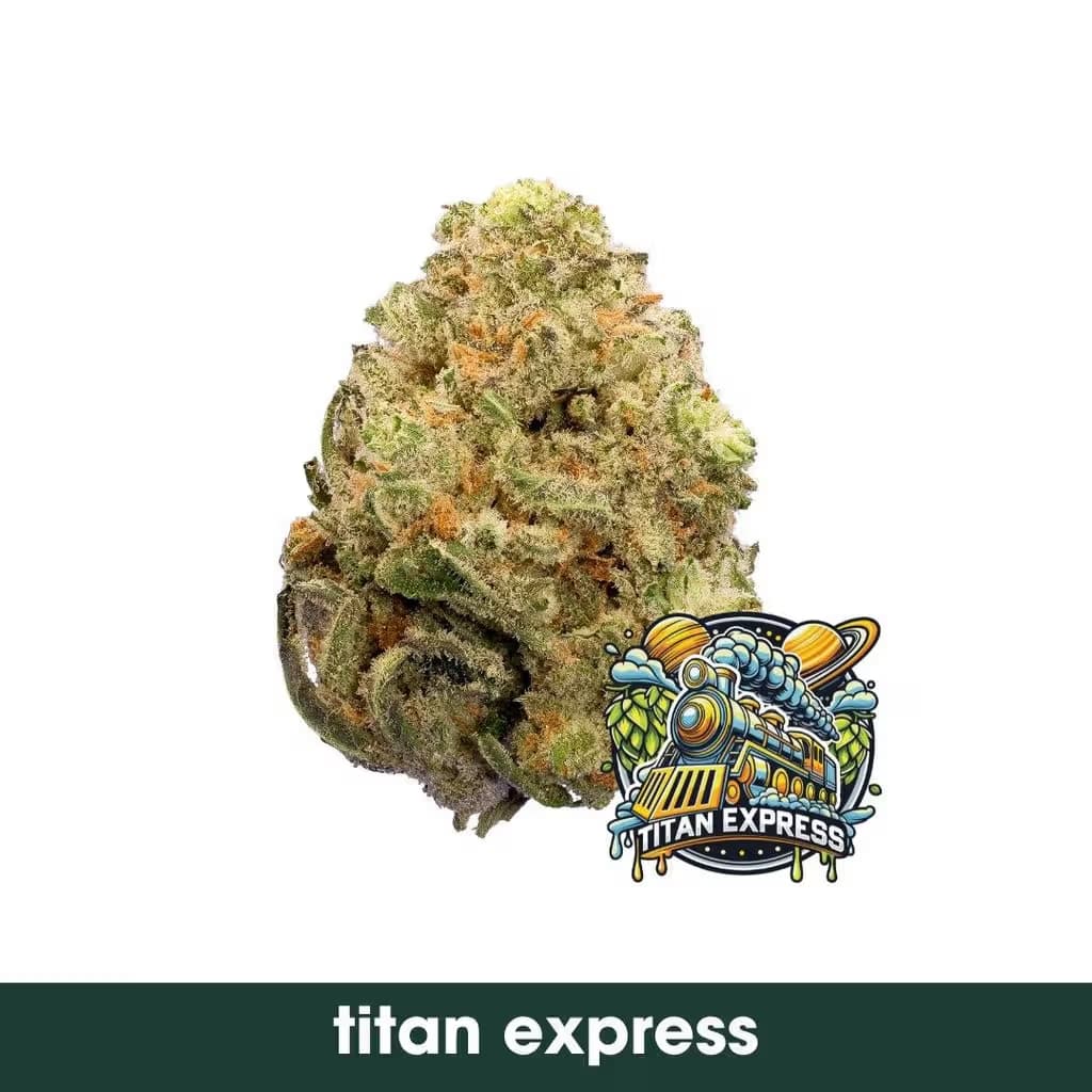 Dark Heart Titan Express
