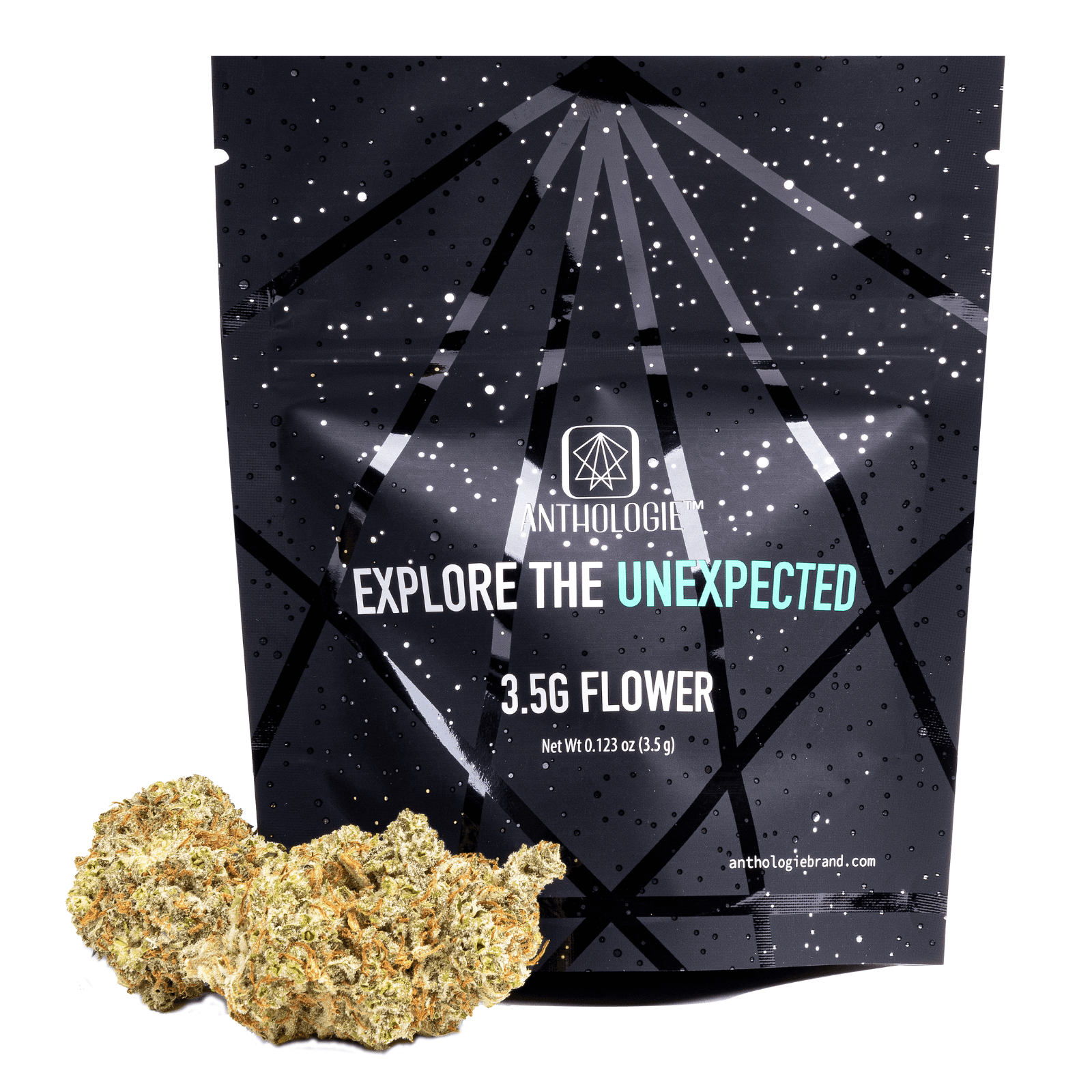 Anthologie Local Skunk