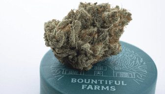 Bountiful Farms