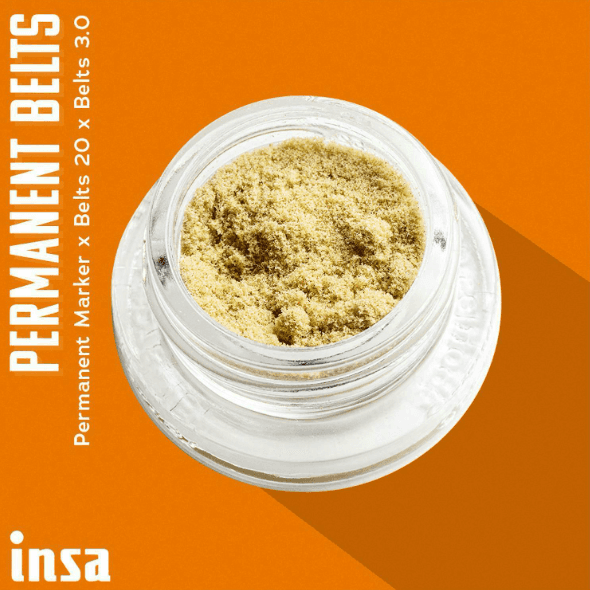 Insa 1g Kief | Permanent Belts | INSA