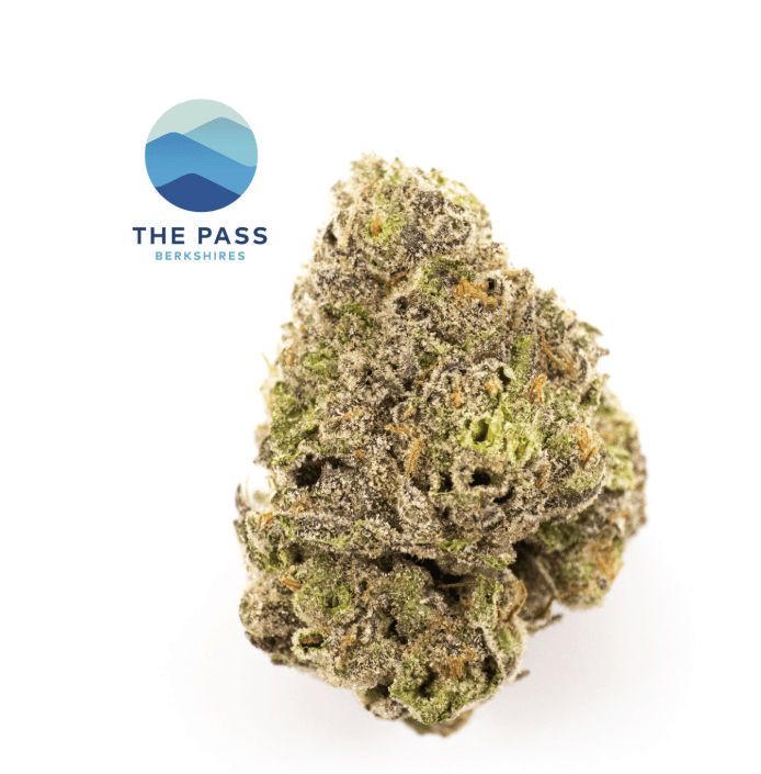 The Pass