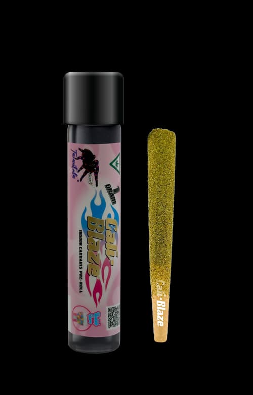 Cali-Blaze Bubblegum (Tarantula) | Infused Joint | 1g 3pk