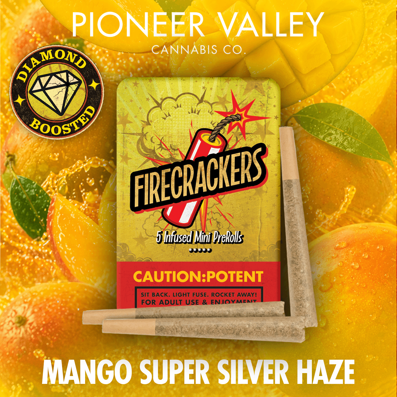 Firecracker
