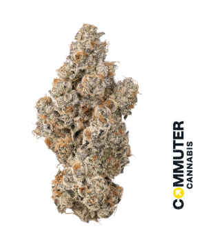 Commuter Cannabis Lemon Balm