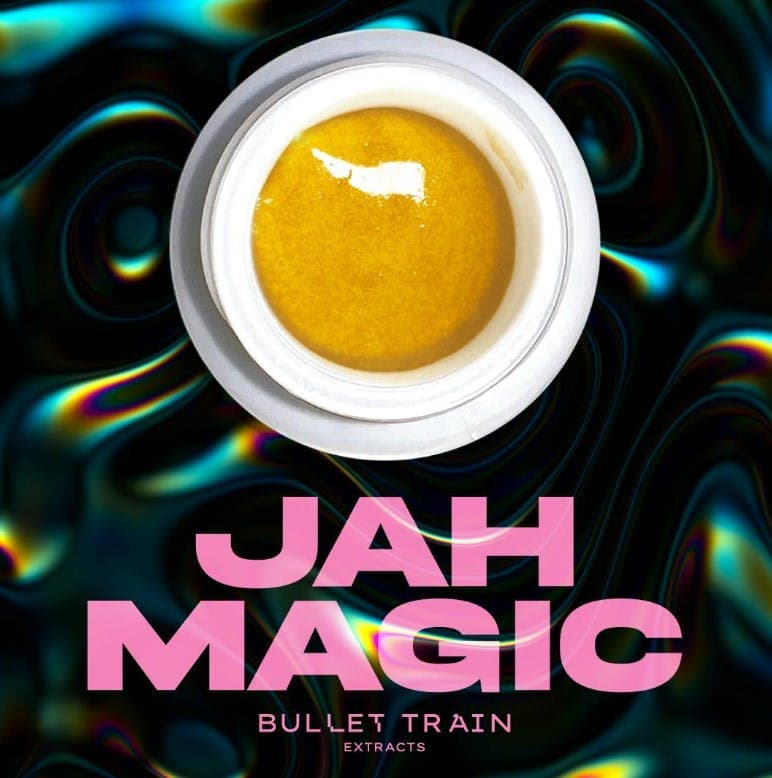 Bullet Train Extracts