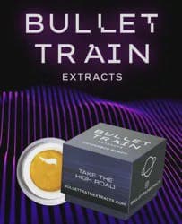 Bullet Train Extracts
