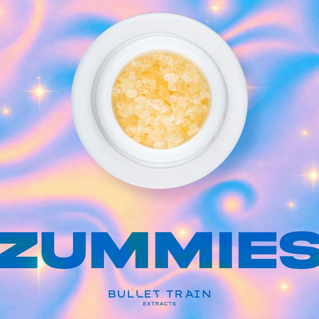 Bullet Train Extracts