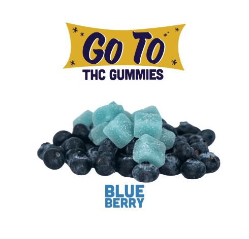 Go To Blueberry Gummies 20pk / 100mg