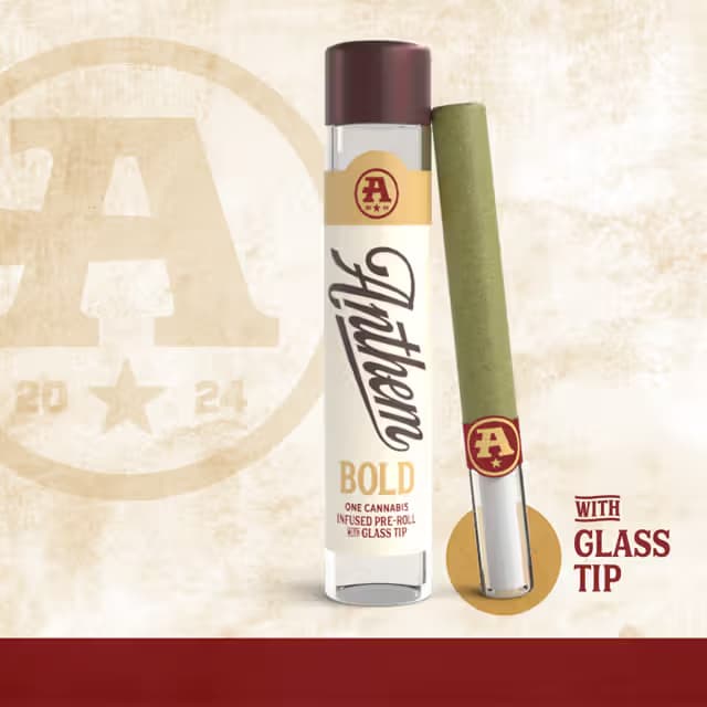 Anthem Bold Glass Tip Infused Tangie Dream Pre-Roll 1g