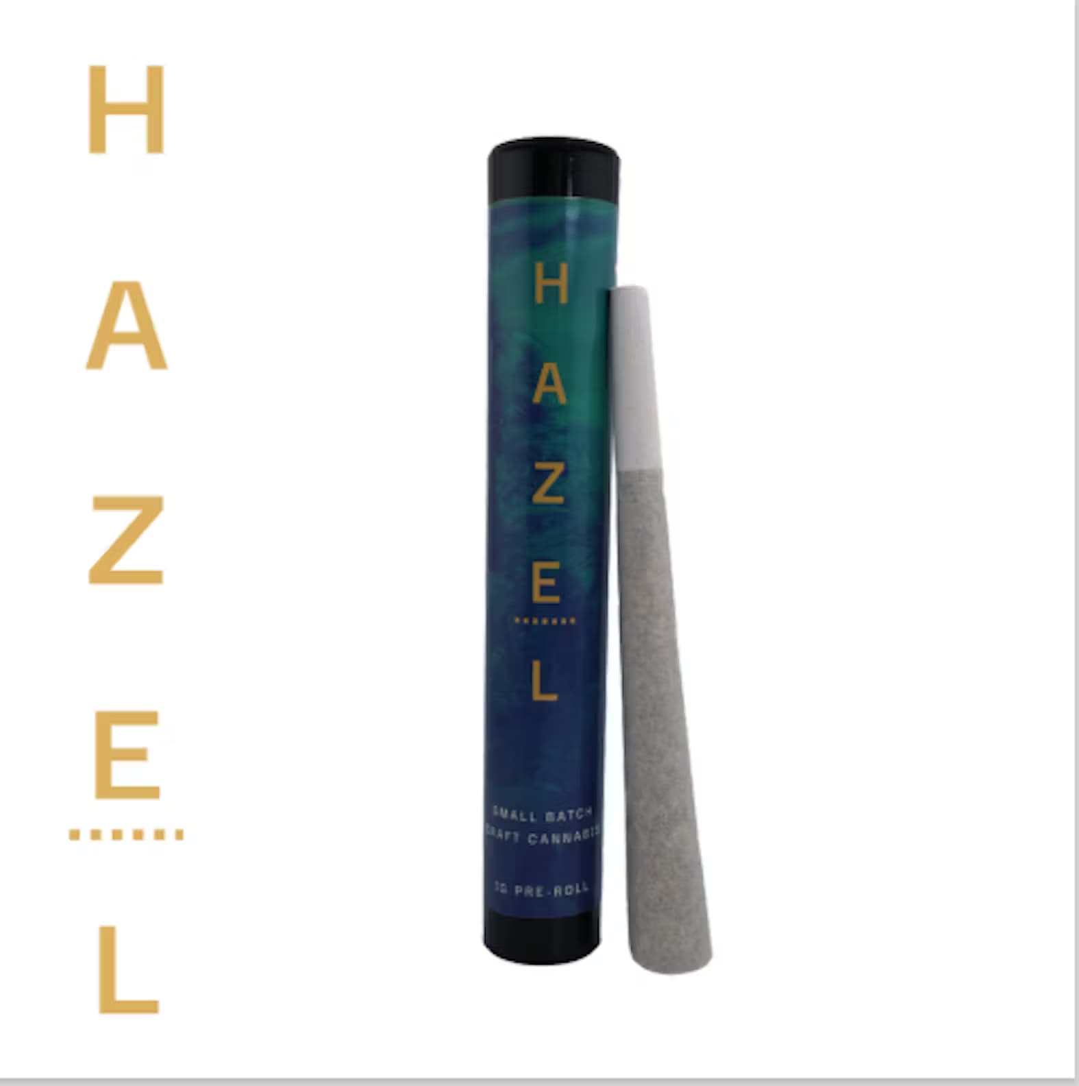 Hazel