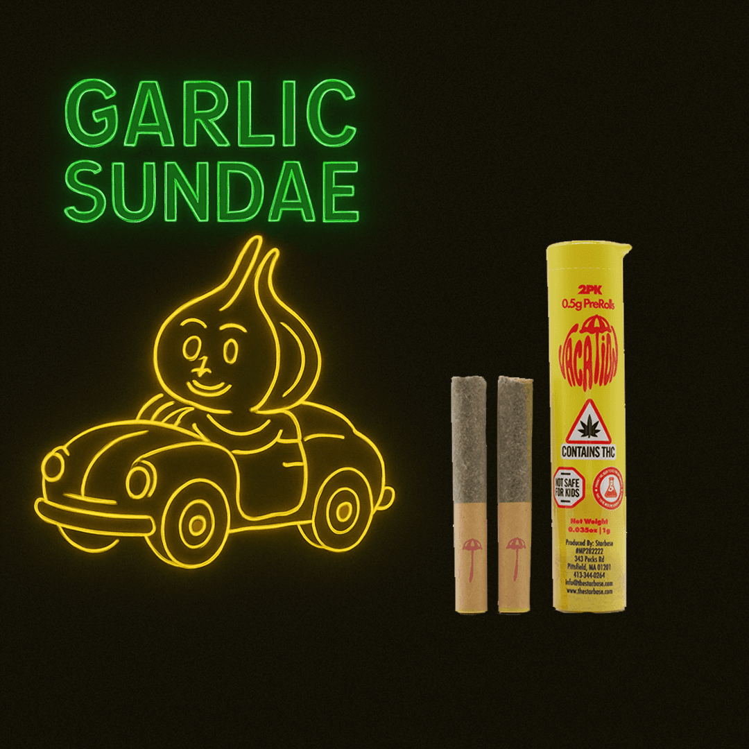 Vacation Garlic Sundae | Preroll 2pk | 1g