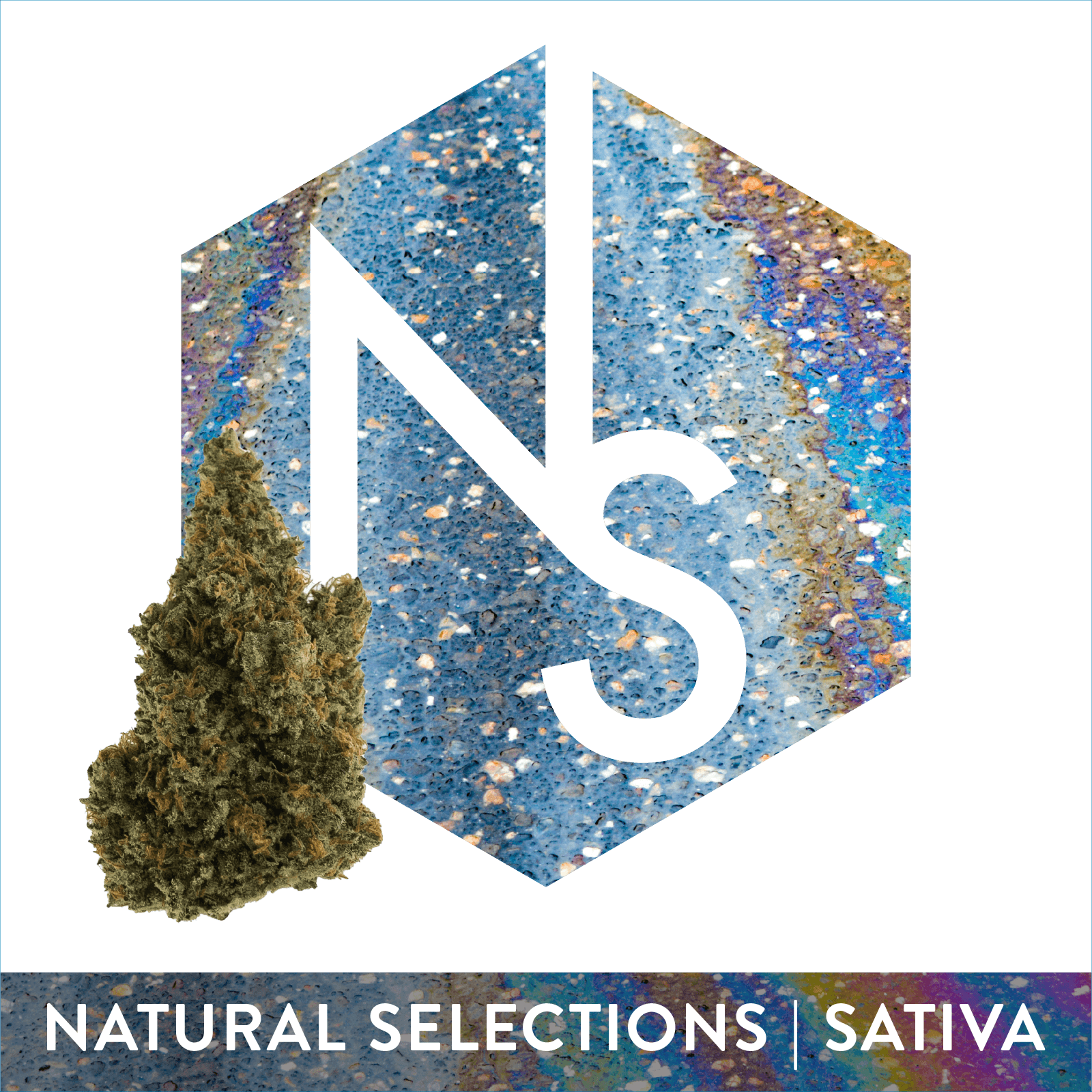 Natural Selections Sour Gak