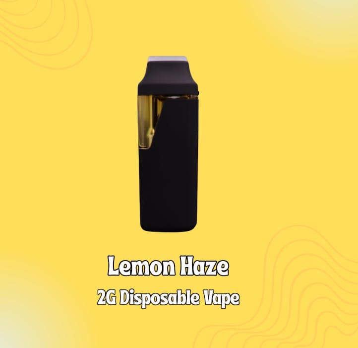 Shnicks Shnacks Lemon Haze Disposable