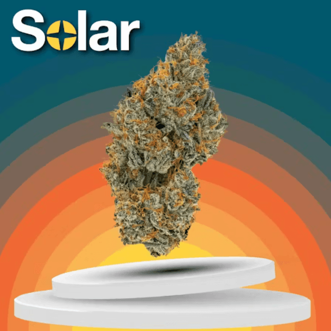 Solar Cannabis Co. Flower | Solar Cannabis | E85 | 3.5g