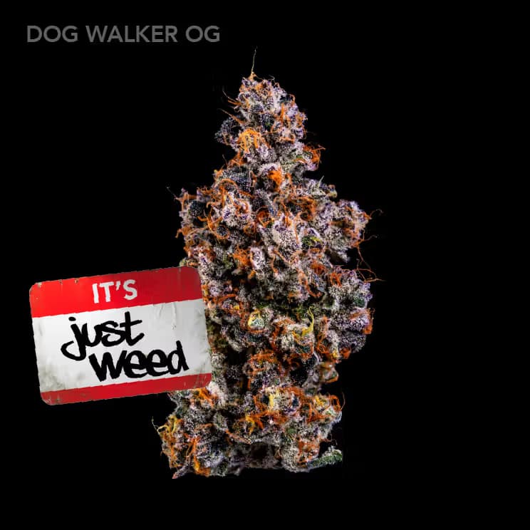 Just Weed Dogwalker OG