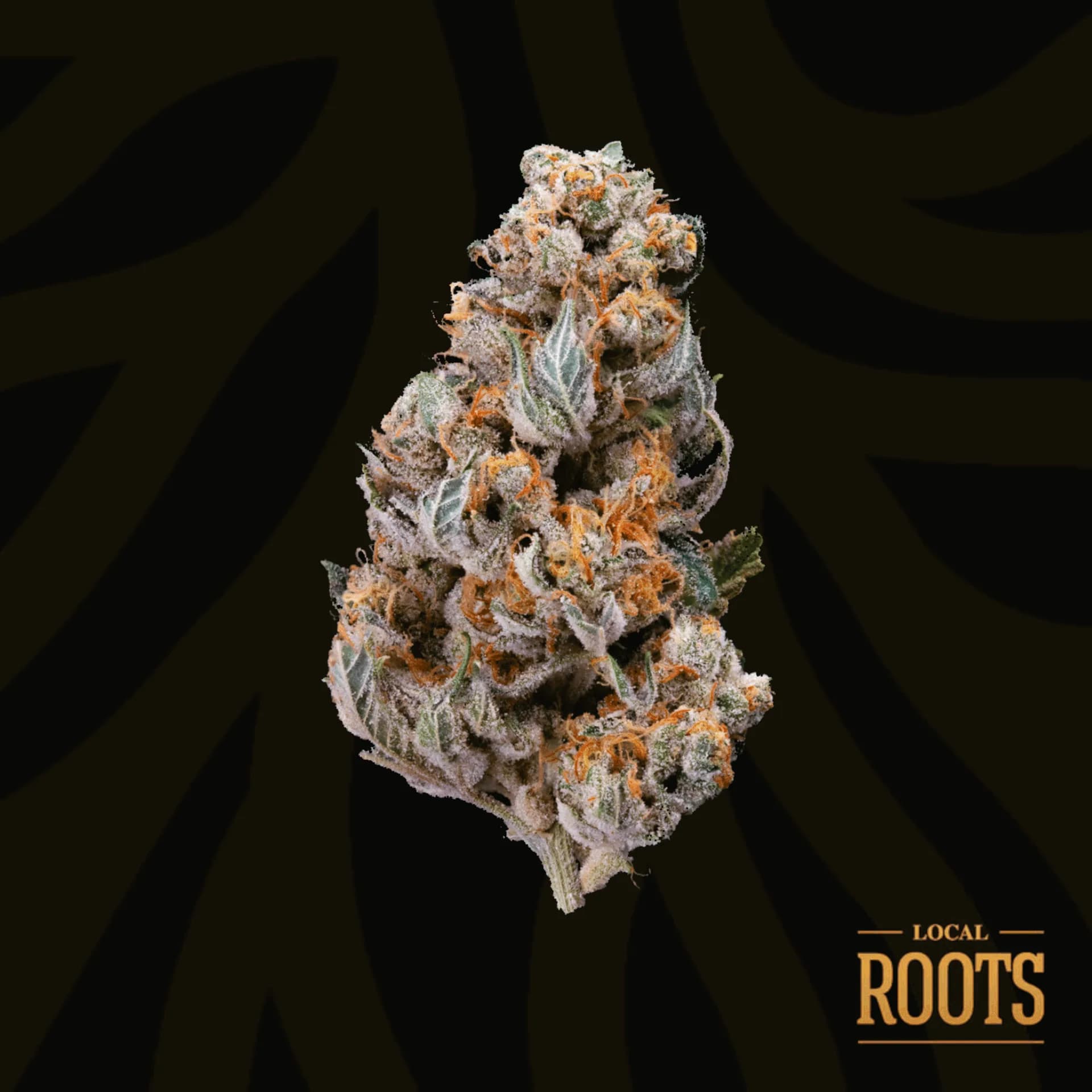 Local Roots Flower | Local Roots | Pura Vida | 3.5g