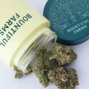 Bountiful Farms Cheese Wiz - Buds 3.5g