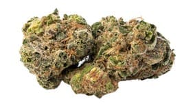 Berkshire Roots Ice Cream Kush 28g