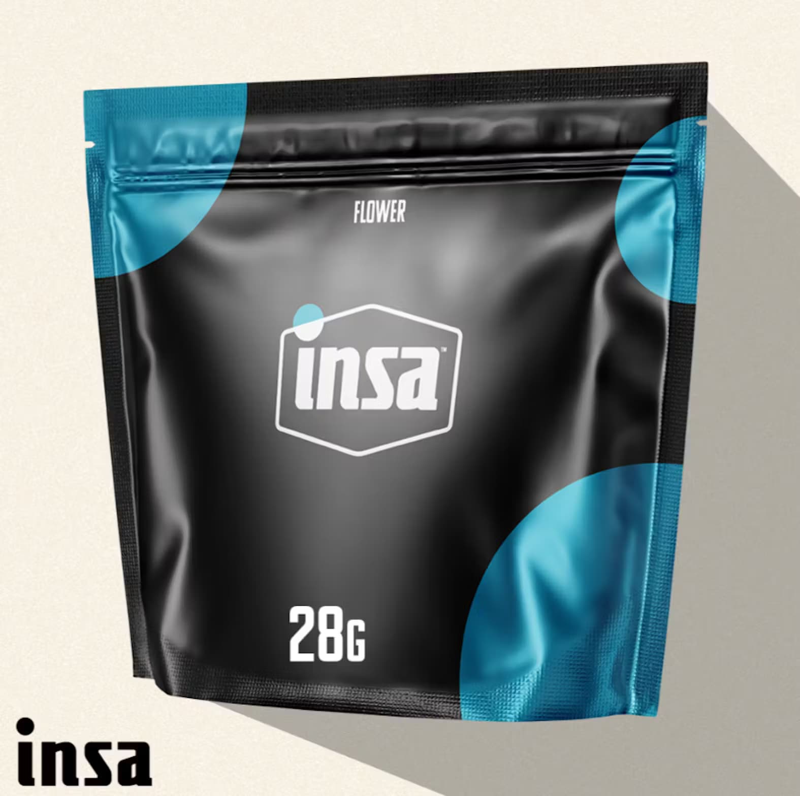 Insa