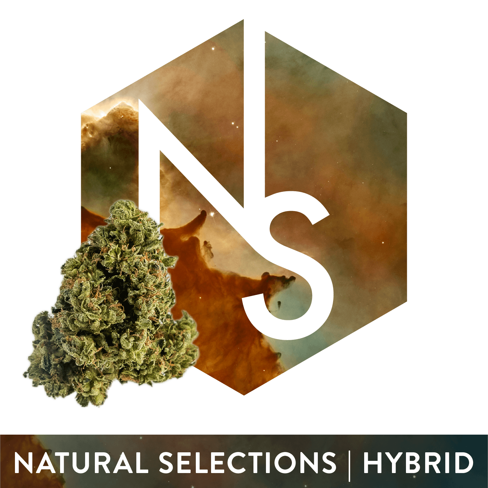 Natural Selections Natural Selections Intergalactic 3.5g