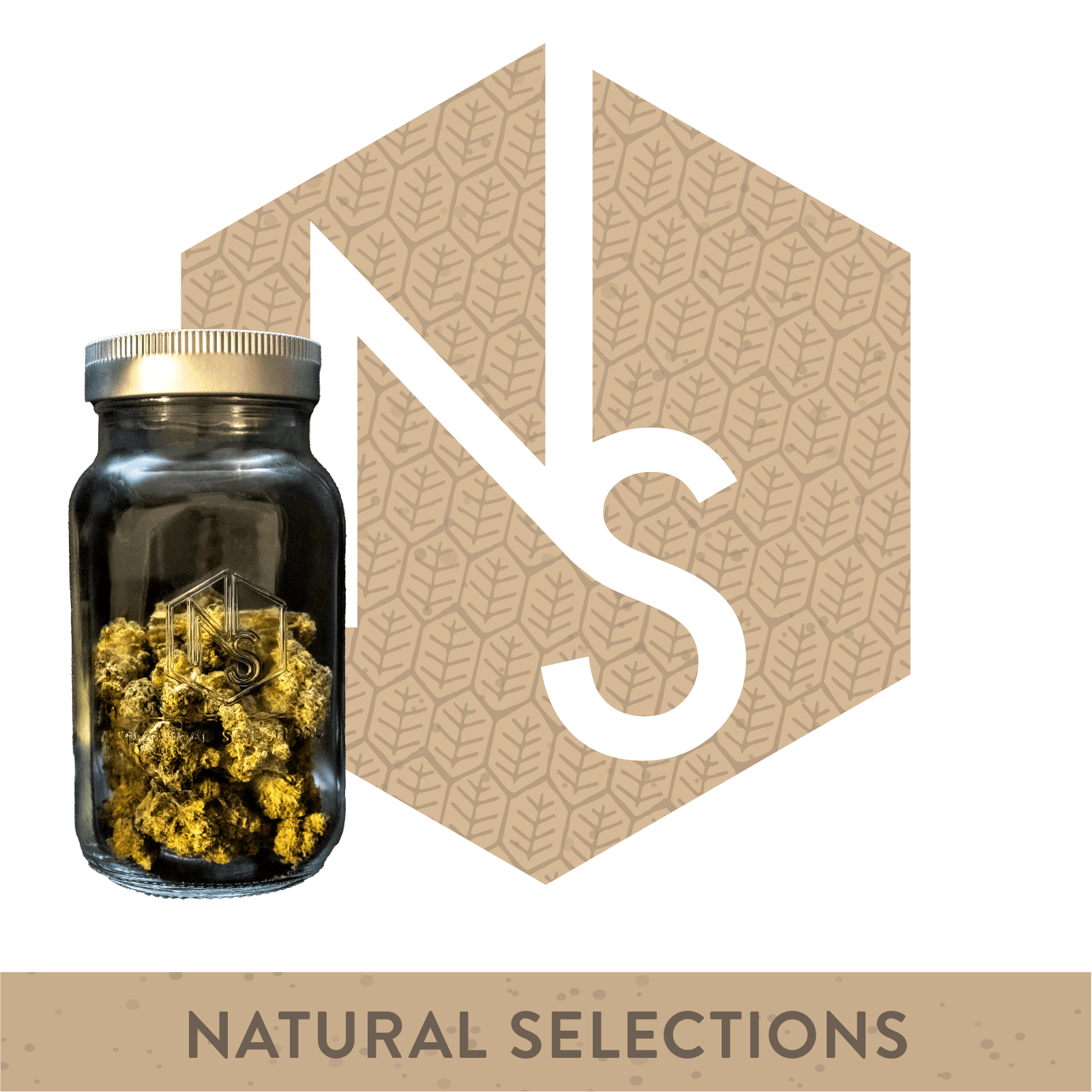 Natural Selections Natural Selections Strawberry Guava 14g