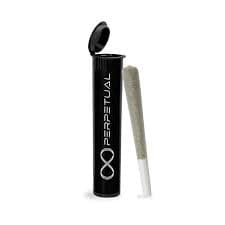Perpetual Pre-Roll - Chocolope