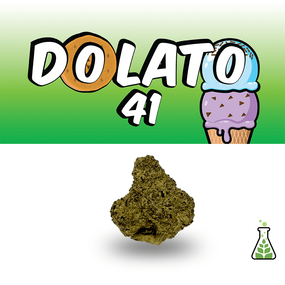 Sanctuary Medicinals Dolato 41