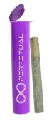 Perpetual Mint Infused Pre-Roll (1g)