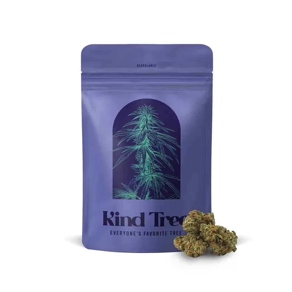 Kind Tree Windu