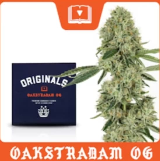 Originals Originals Prepack (3.5g) Oakstradam OG