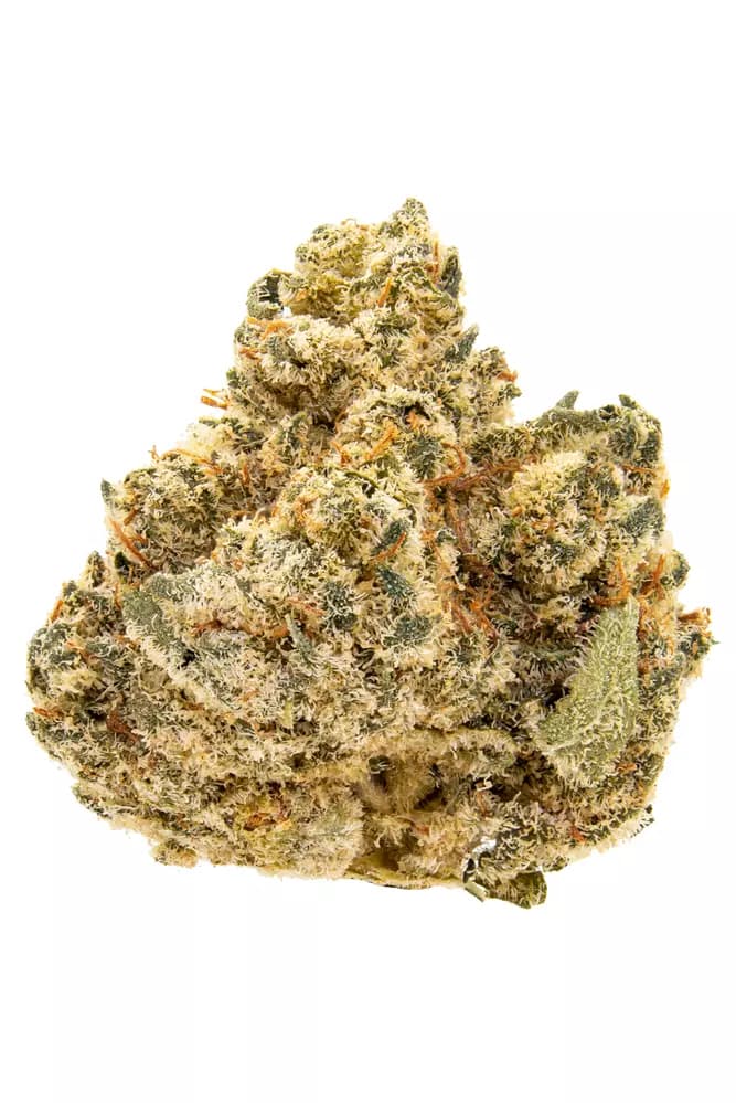 Simply Herb PK Crasher
