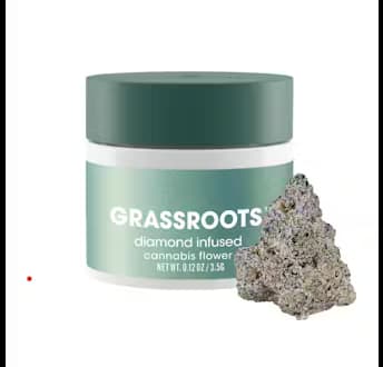 Grassroots Diamond | White Hot Guava | Flower