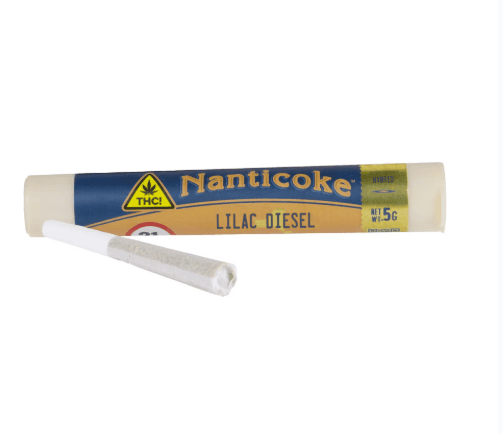 Nanticoke