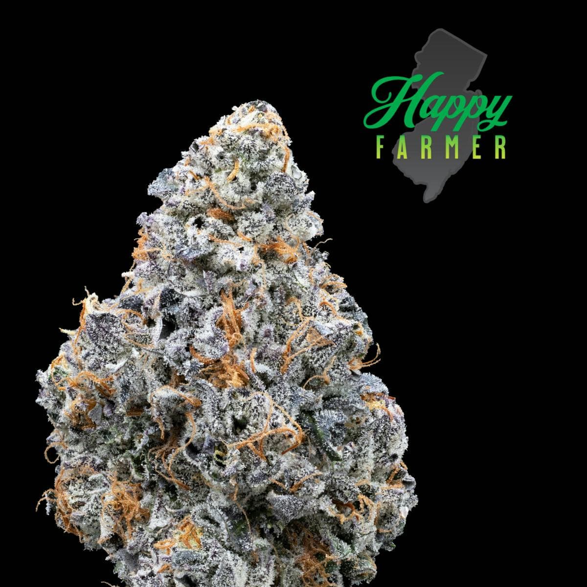 HAPPY FARMER Lemon Cherry Fritter