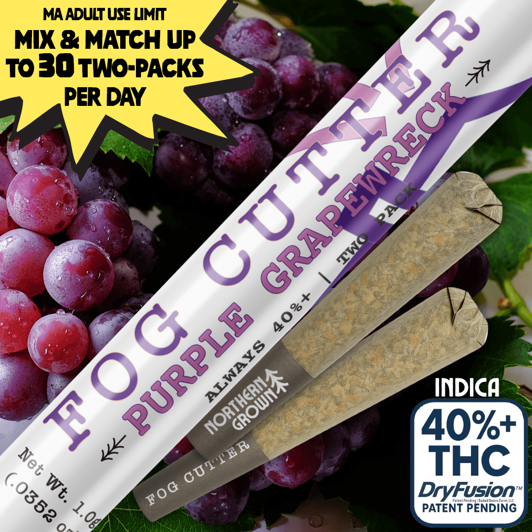 Fog Cutter by Northern Grown Purple Grapewreck | 0.5g Infused PreRoll 2 Pack