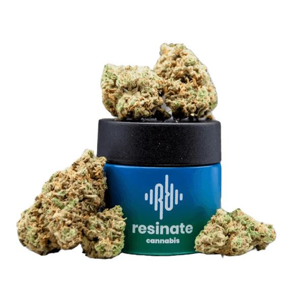 Resinate Flower - Strawberry Banana Lemon
