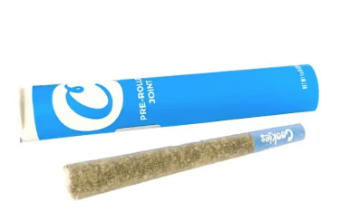 Cookies Mexican Flan | Single Pre-Roll | 1g