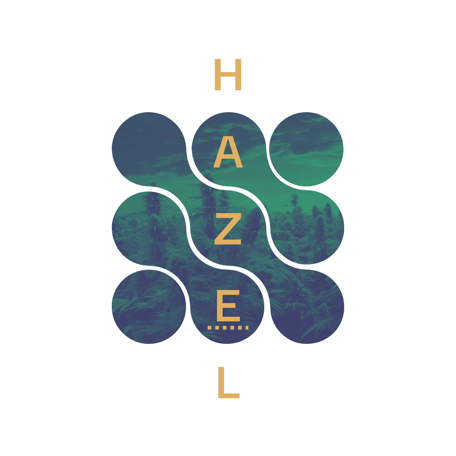 Hazel