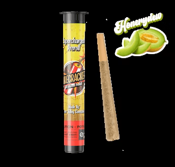 Firecracker