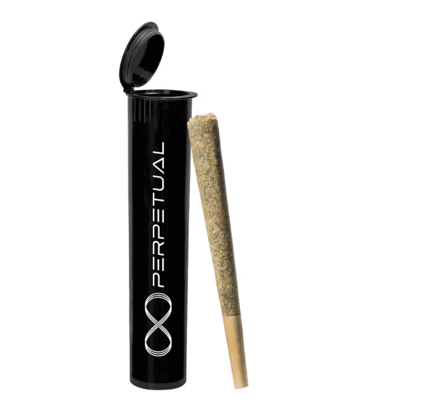 Perpetual Perpetual Rainbow Chip 0.5g Preroll